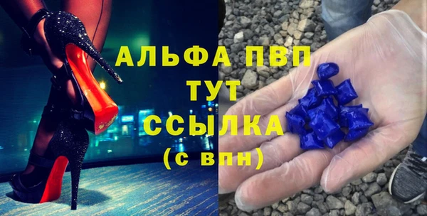 спиды Верея