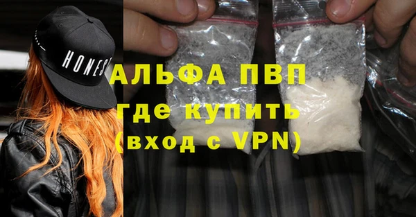 СК Бородино