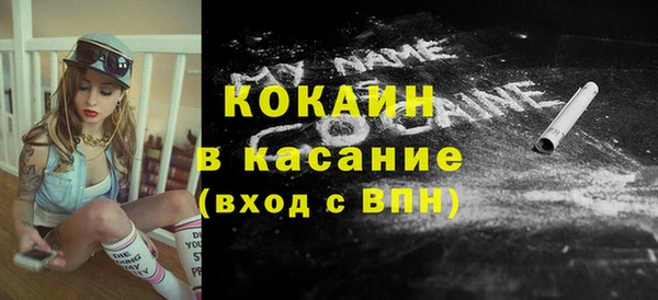 стаф Вяземский