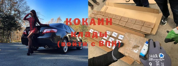 стаф Вяземский