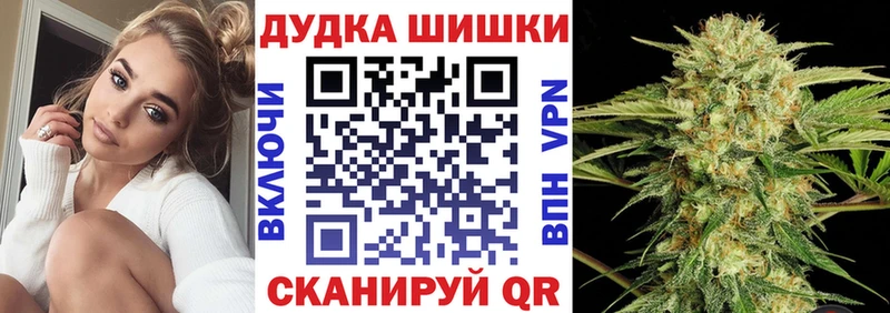 купить  цена  Калтан  Каннабис ГИДРОПОН 